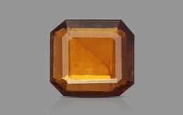 Ceylon Hessonite Garnet - 3.9 Carat Prime Quality HG-8061 